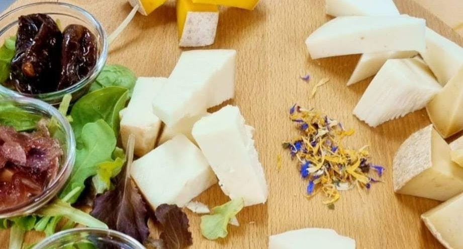 Restaurant Trattoria Siro in San Vitale, Bologna