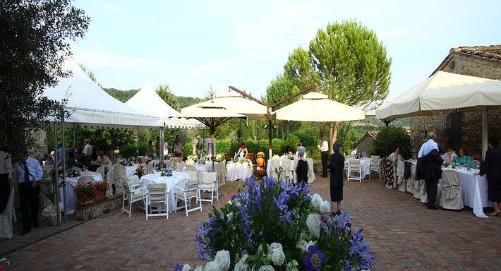 slider image 3