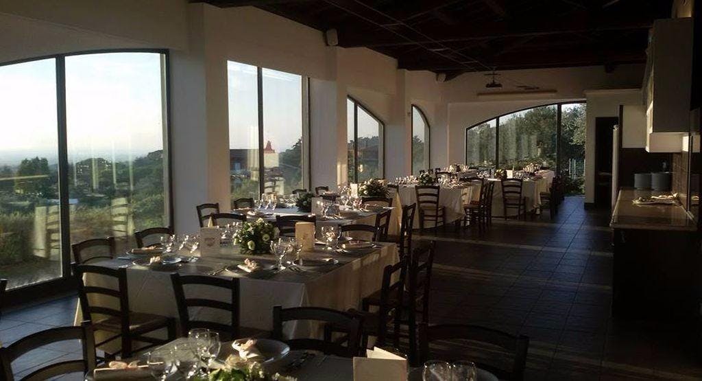 Foto del ristorante La Vite e Gli Ulivi a Ariccia, Castelli Romani