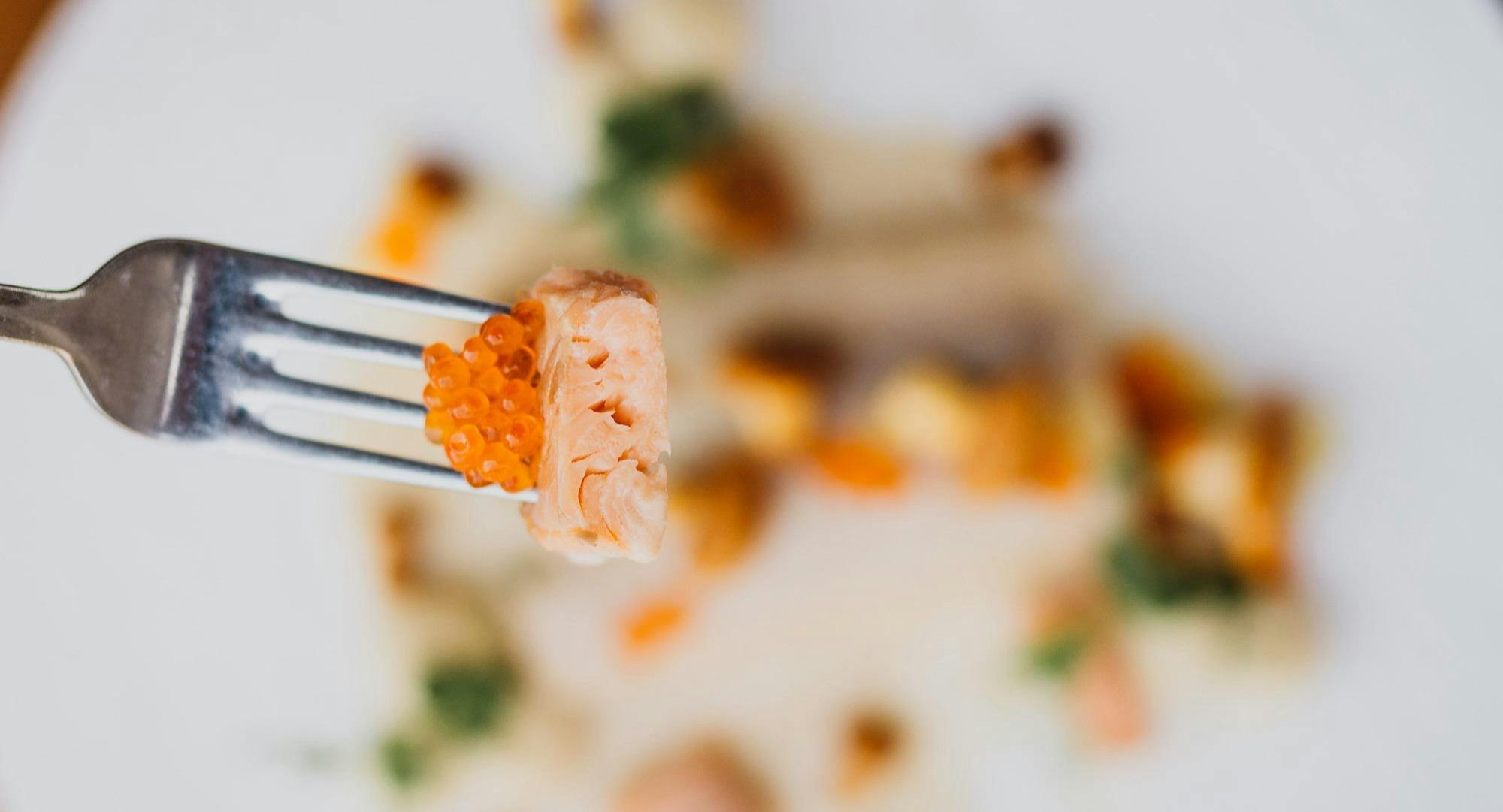 Bilder von Restaurant Salzkruste Restaurant & Bar in Schwabing-West, München - Photo 2