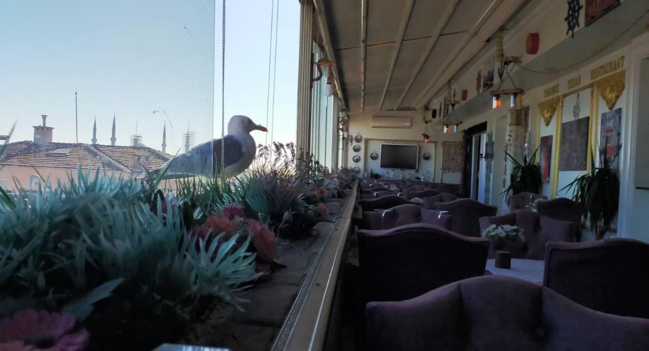 Photo of restaurant Yakamoz Terrace Restaurant in Fatih, Istanbul - Photo 5