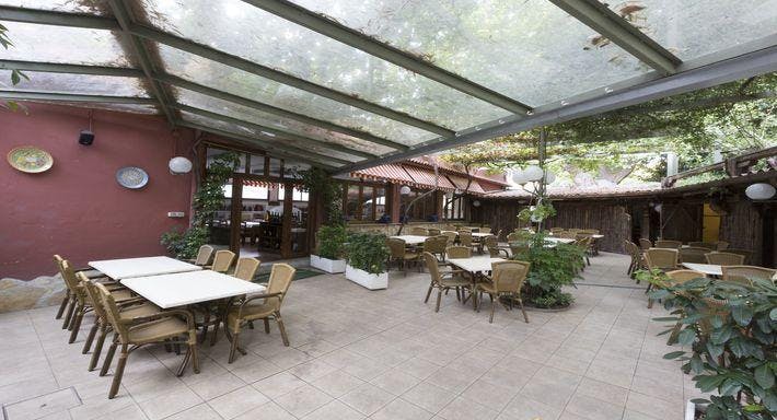 Photo of restaurant Antica Trattoria Pallotta in Ponte Milvio, Rome - Photo 8