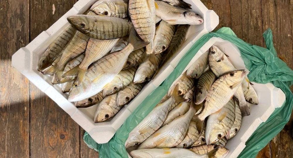 Photo of restaurant Oltremare in Fiumicino, Rome - Photo 4