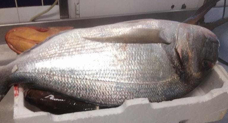 Photo of restaurant Oltremare in Fiumicino, Rome - Photo 5