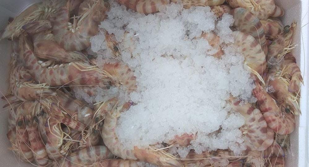 Photo of restaurant Oltremare in Fiumicino, Rome - Photo 6