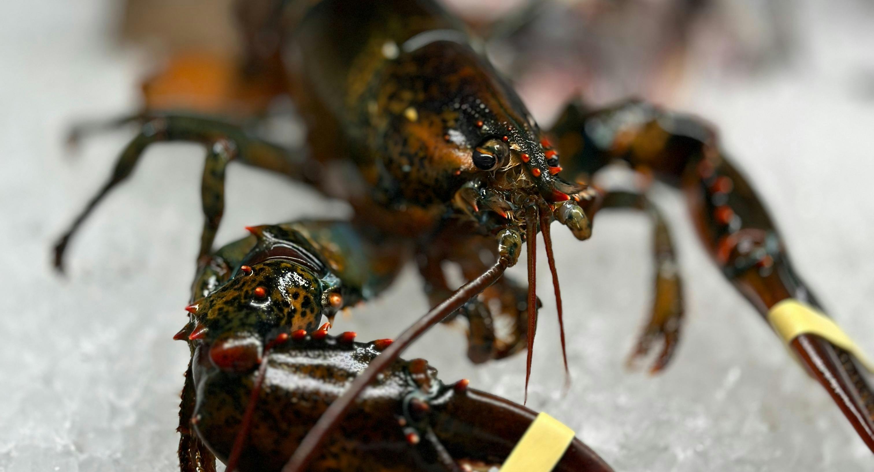 Photo of restaurant Riviera Restaurant & Bar in Charlottenburg, Berlin - Photo 9