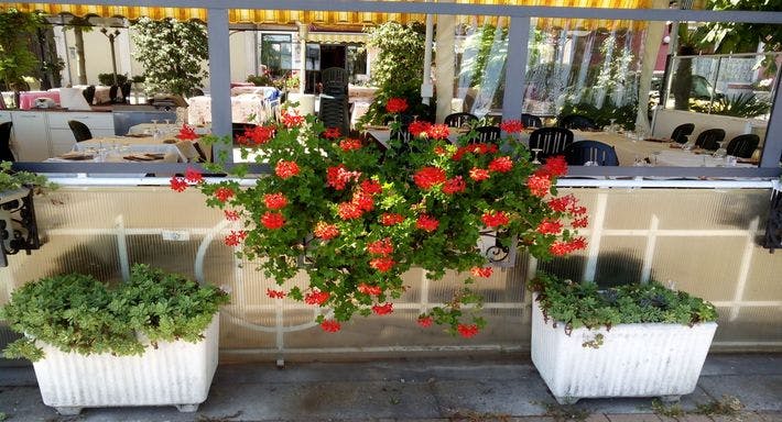 Foto del ristorante La Terrazza a Belgirate, Verbania