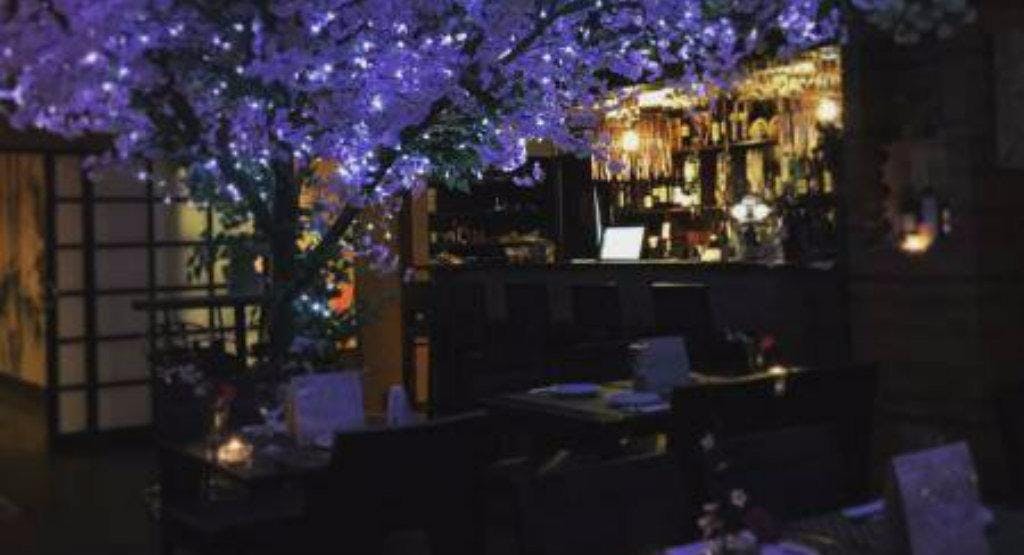 Sakura Japanese Bar Restaurant New Malden Sakura Japanese Bar Restaurant New Malden