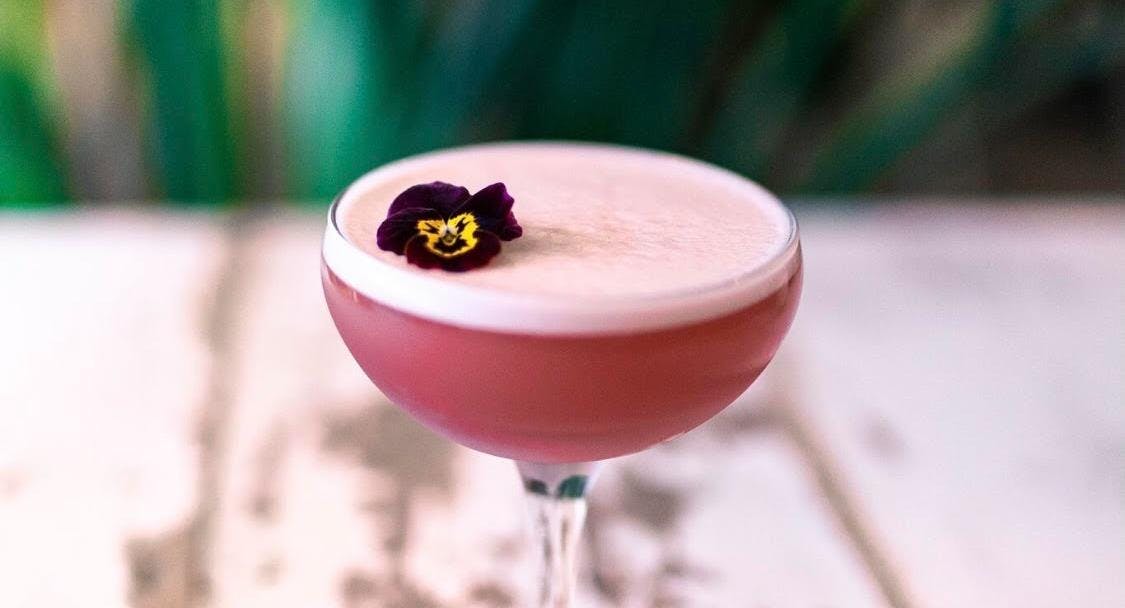 Photo of restaurant The Perseverance in Marylebone, London - Photo 3