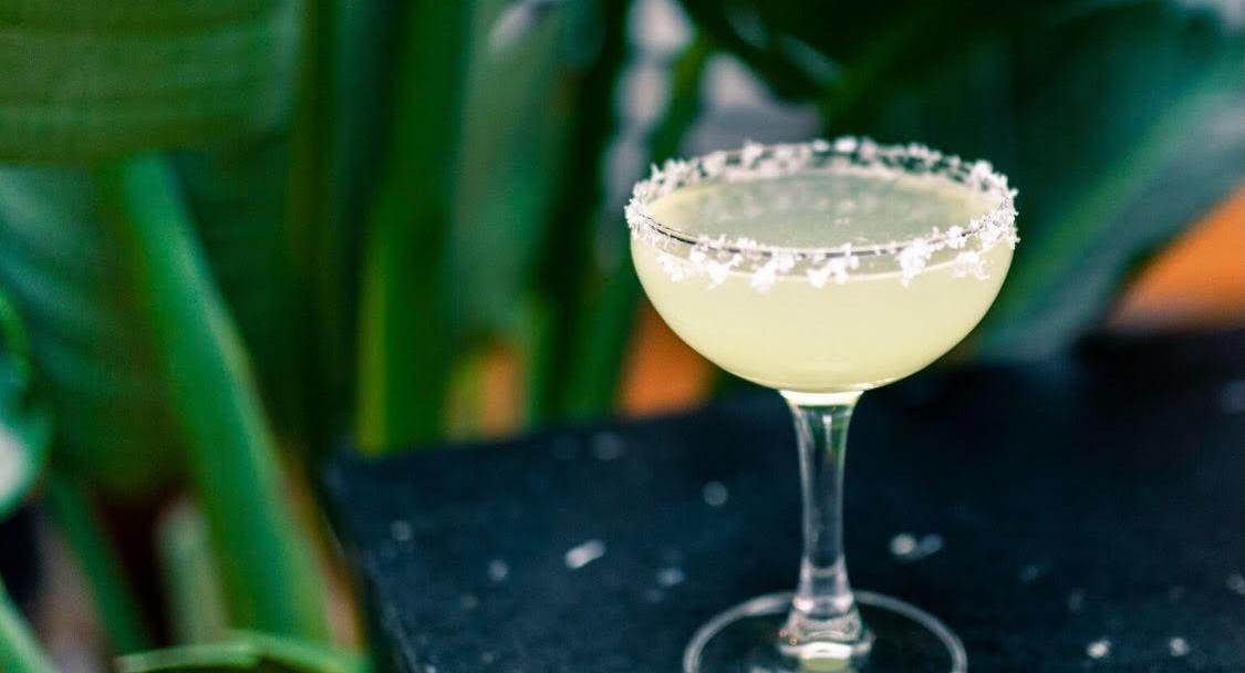 Photo of restaurant The Perseverance in Marylebone, London - Photo 5