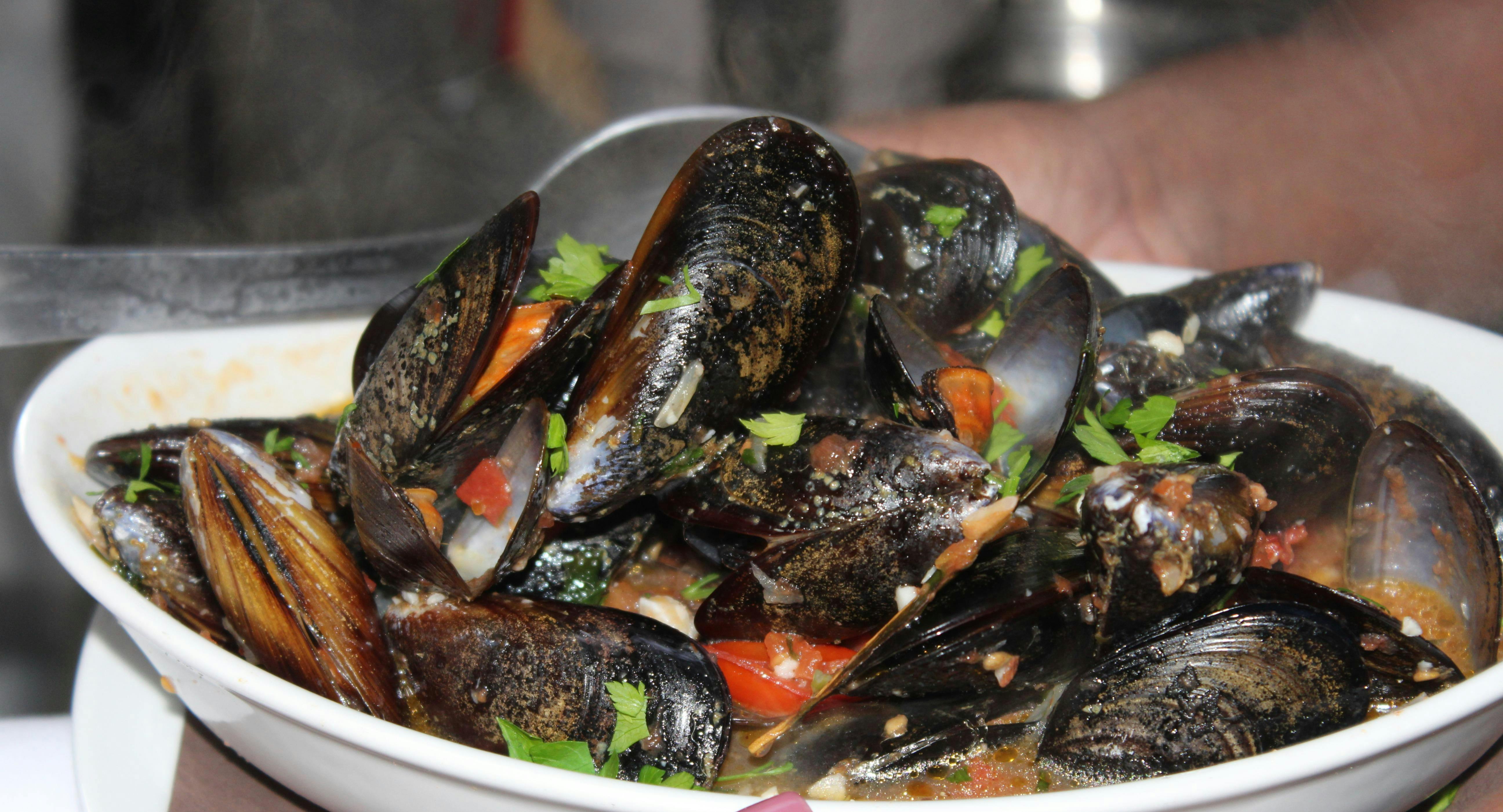 Photo of restaurant Kus-Kus piazza Virgilio in City Centre, Palermo