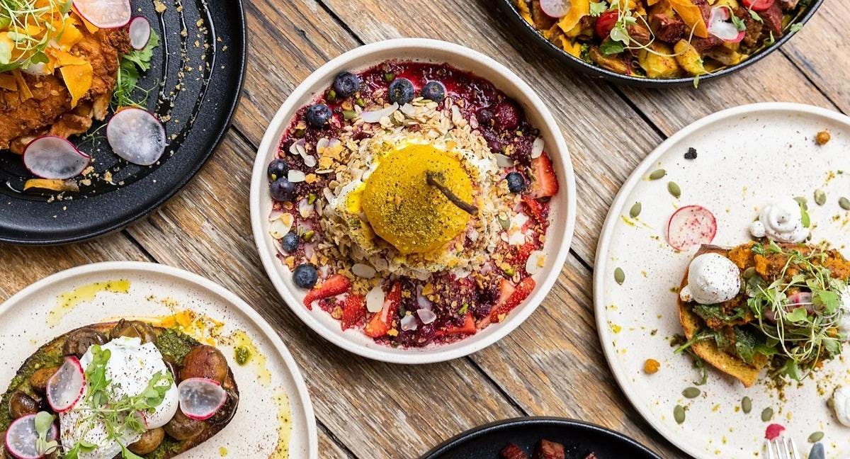 Restaurant Terracotta Elsternwick in Elsternwick, Melbourne