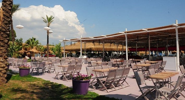 Photo of restaurant Fink Beach in Ortakent Yahsi, Bodrum