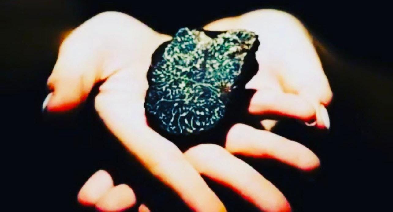 Photo of restaurant Mangiafoco Osteria Tartuferia in Centro storico, Florence - Photo 7