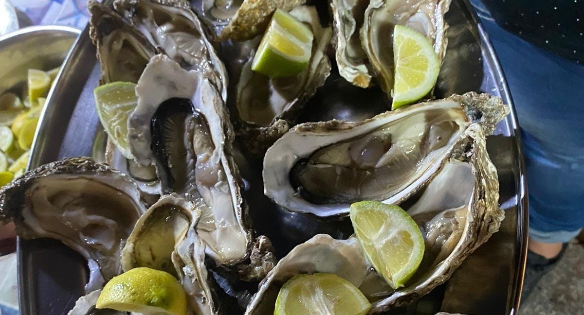 Ristorante Trattoria da Salvo a Kalsa, Palermo