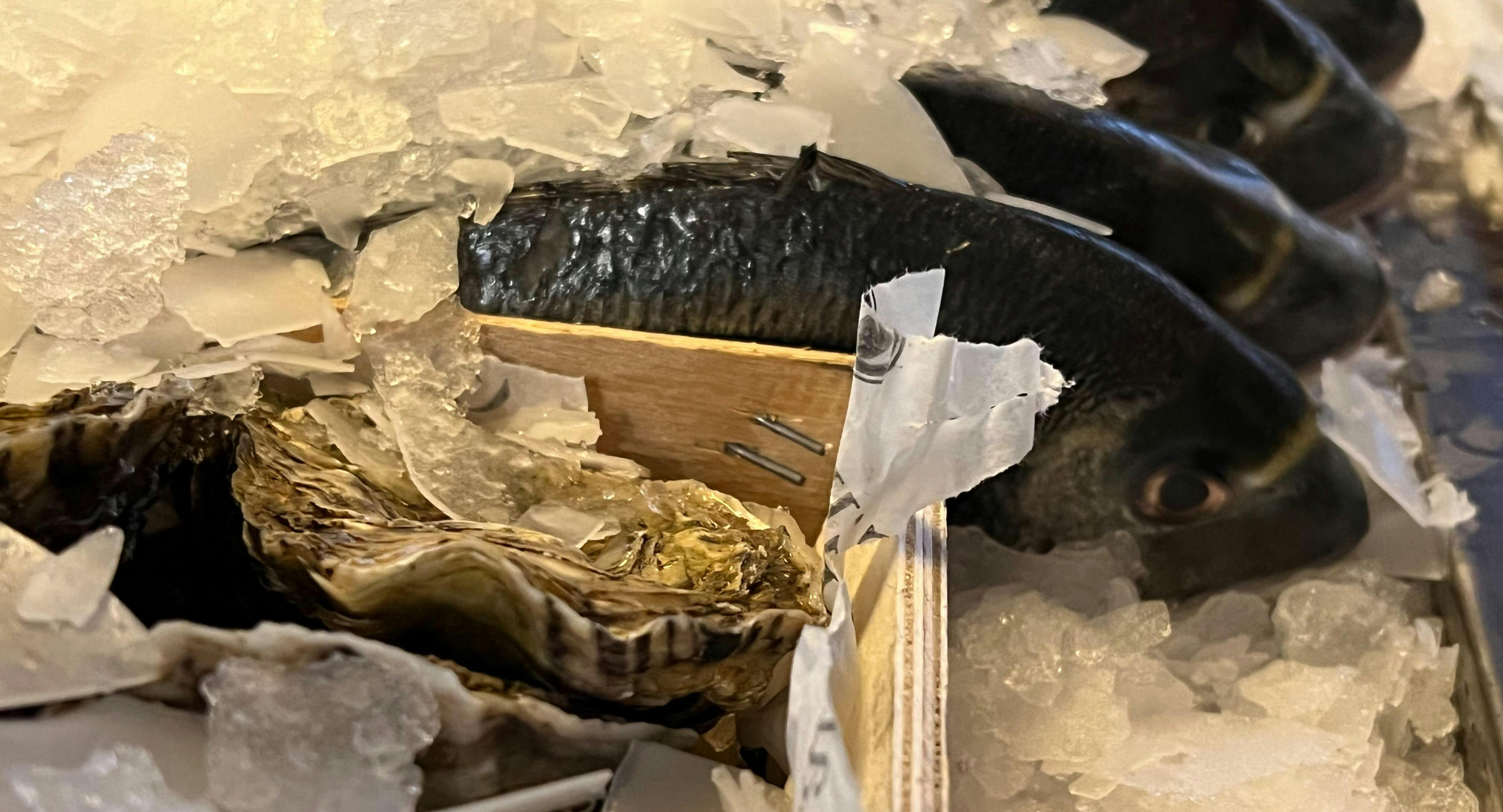 Photo of restaurant Pescheria in Ludwigsvorstadt-Isarvorstadt, Munich - Photo 1