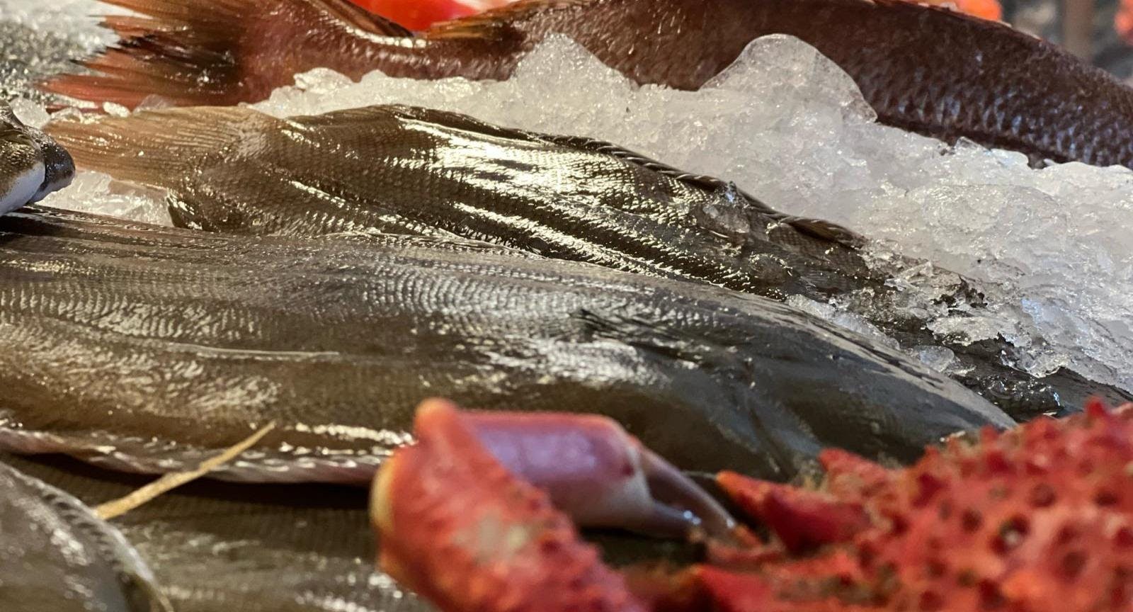 Photo of restaurant Pescheria in Ludwigsvorstadt-Isarvorstadt, Munich - Photo 11