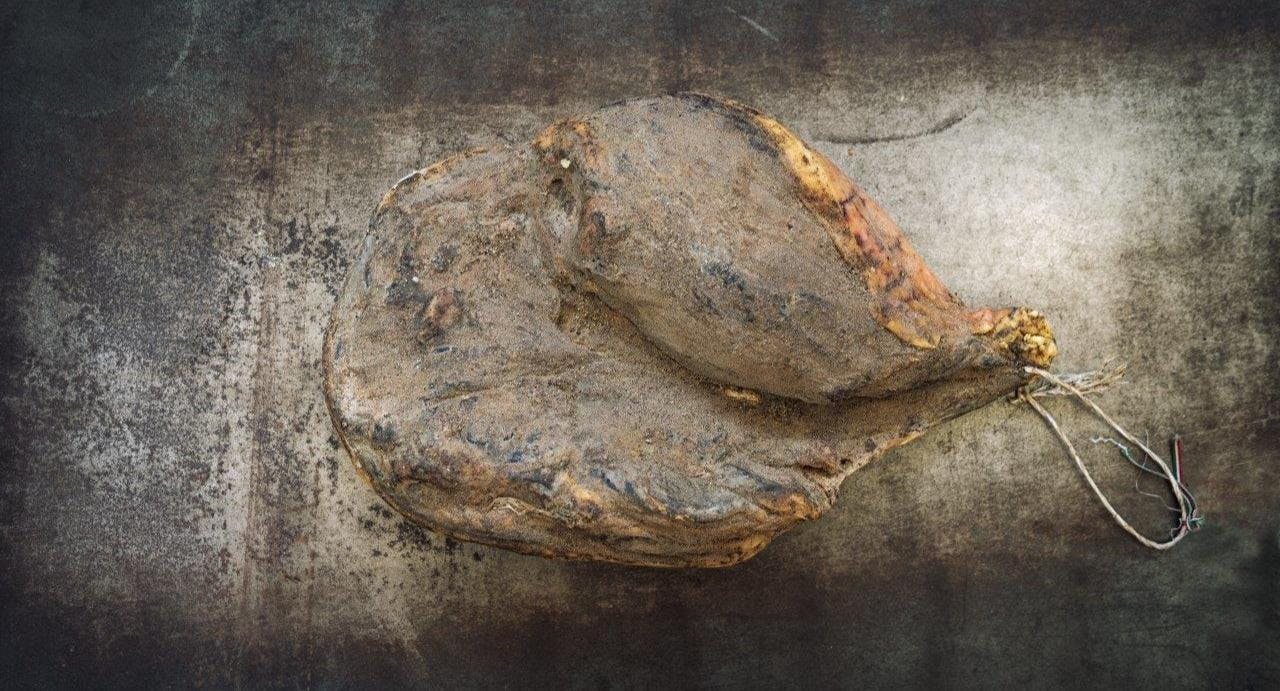 Photo of restaurant Alla Torre De’ Rossi in Centro storico, Florence - Photo 2