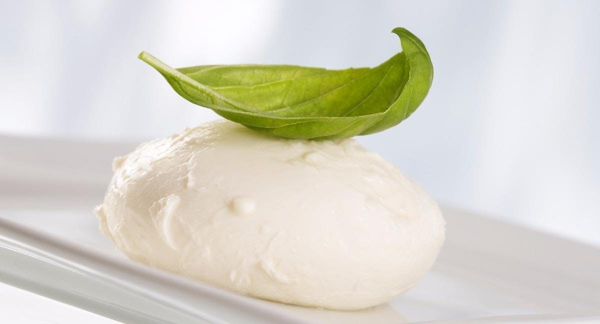 Restaurant Ristorante Biennale in Castello, Venice