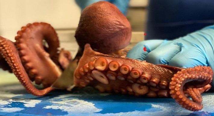 Photo of restaurant Ristopescheria da mare in City Centre, Palermo - Photo 3