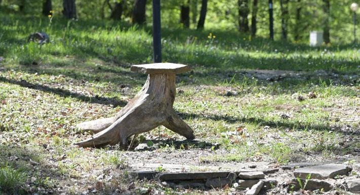 Photo of restaurant Osteria La Martina in Monghidoro, Bologna - Photo 11