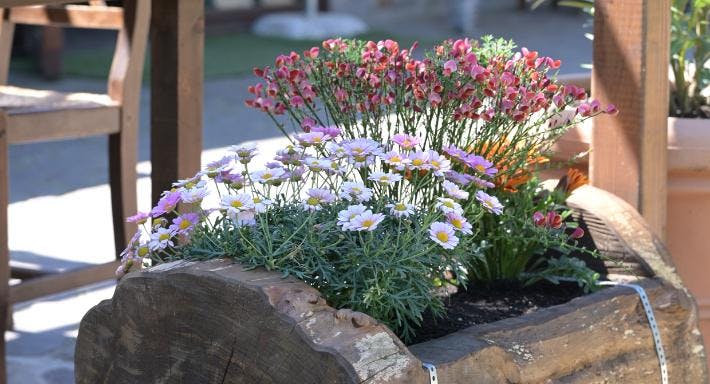 Photo of restaurant Osteria La Martina in Monghidoro, Bologna - Photo 12