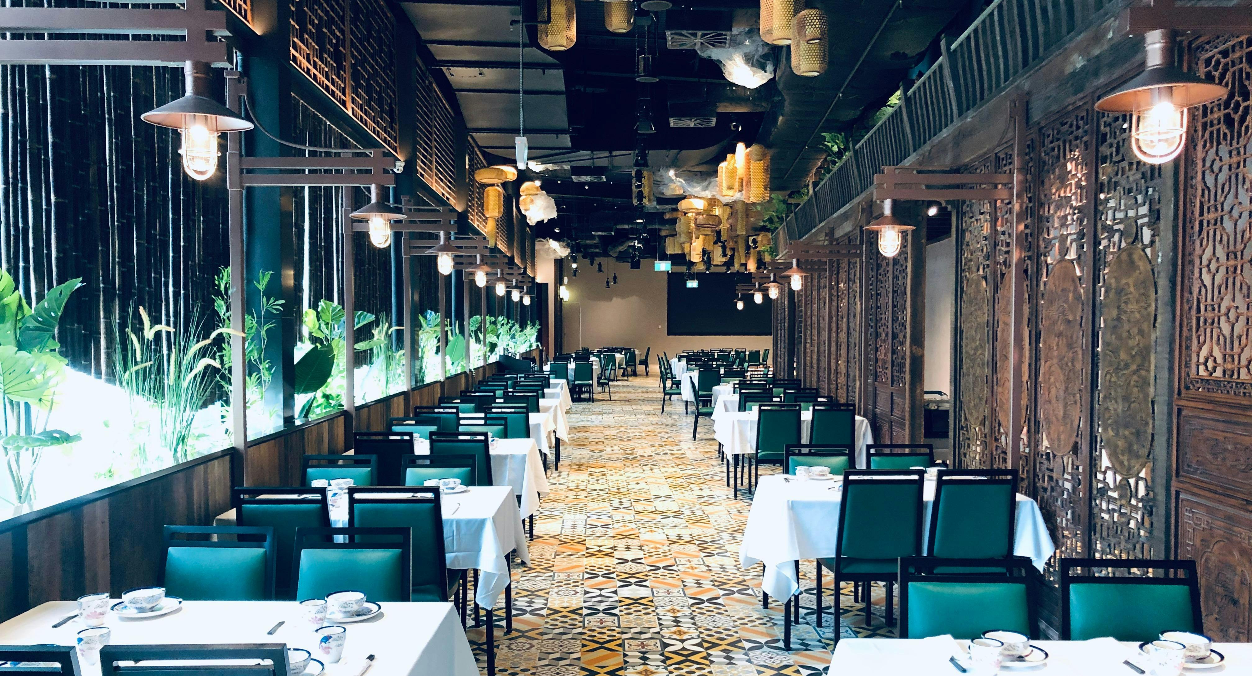 Photo of restaurant The Panda Yum Cha 梧桐 in Macquarie Park, Sydney - Photo 2