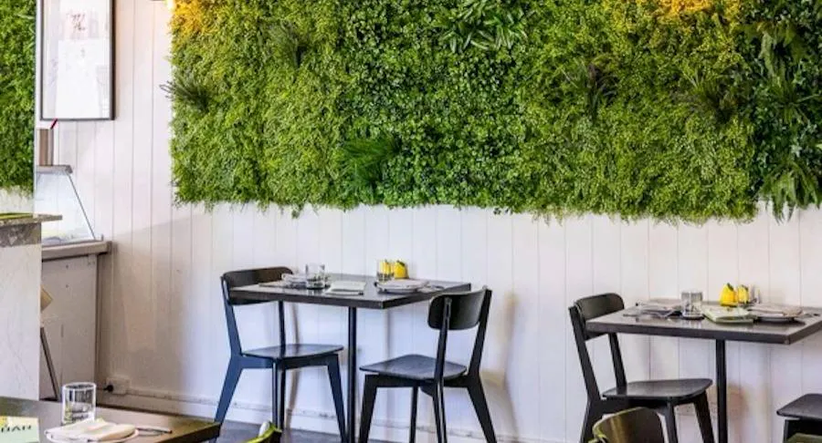 Photo of restaurant Citro Pizza Pasta & Bar in Dural, Sydney - Photo 8