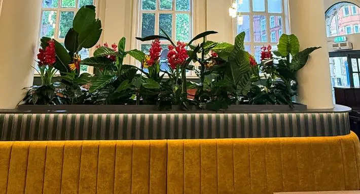 Photo of restaurant La Fontana in Centre, Leicester - Photo 3