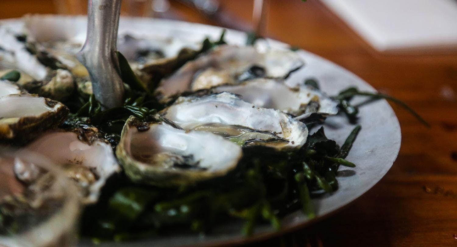 Photo of restaurant Mucha in Centre, Veenendaal - Photo 2