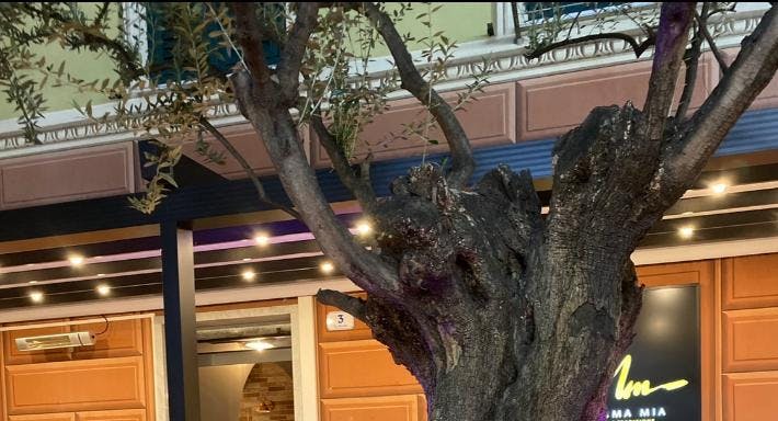 Photo of restaurant Mamma Mia in Centre, Recco - Photo 14