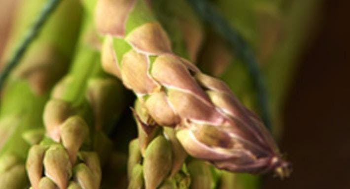 slider image 11