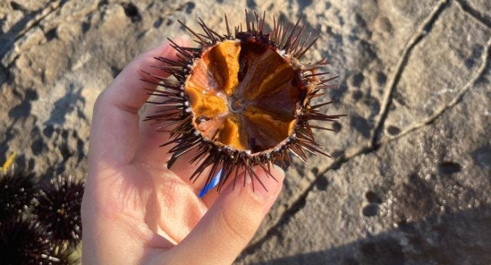 Photo of restaurant Posto Divino ai Tolomei in Racale, Lecce - Photo 9