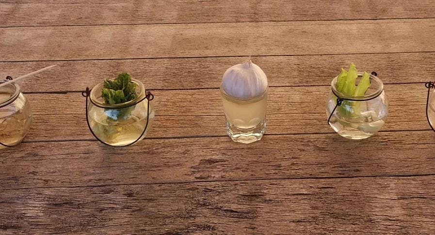 Photo of restaurant B.O.r.G.O. in Centro storico, Florence - Photo 2