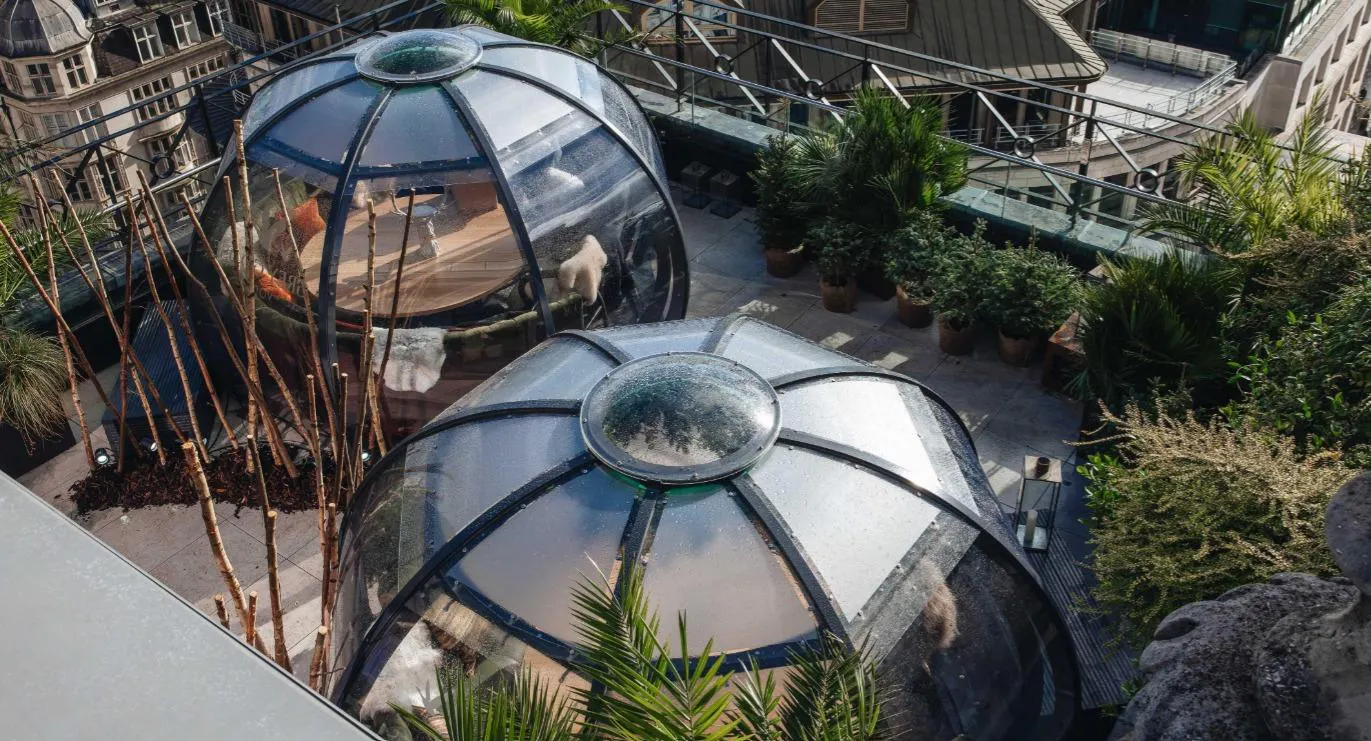 Photo of restaurant Wagtail in City of London, London - Photo 8