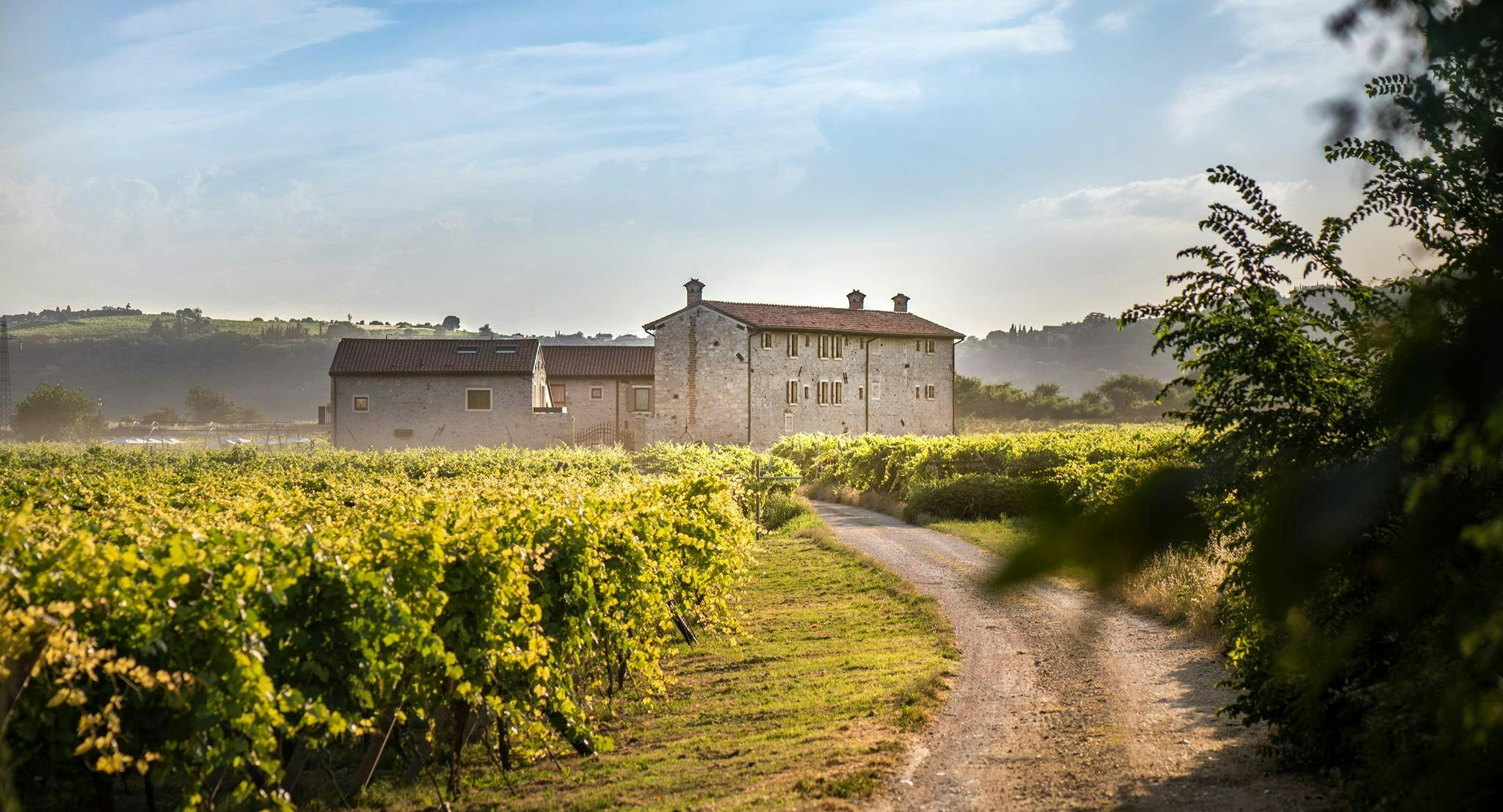 Photo of restaurant Magari Estates Restaurant in Colognola Ai Colli, Verona
