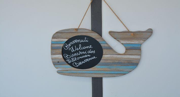 slider image 12