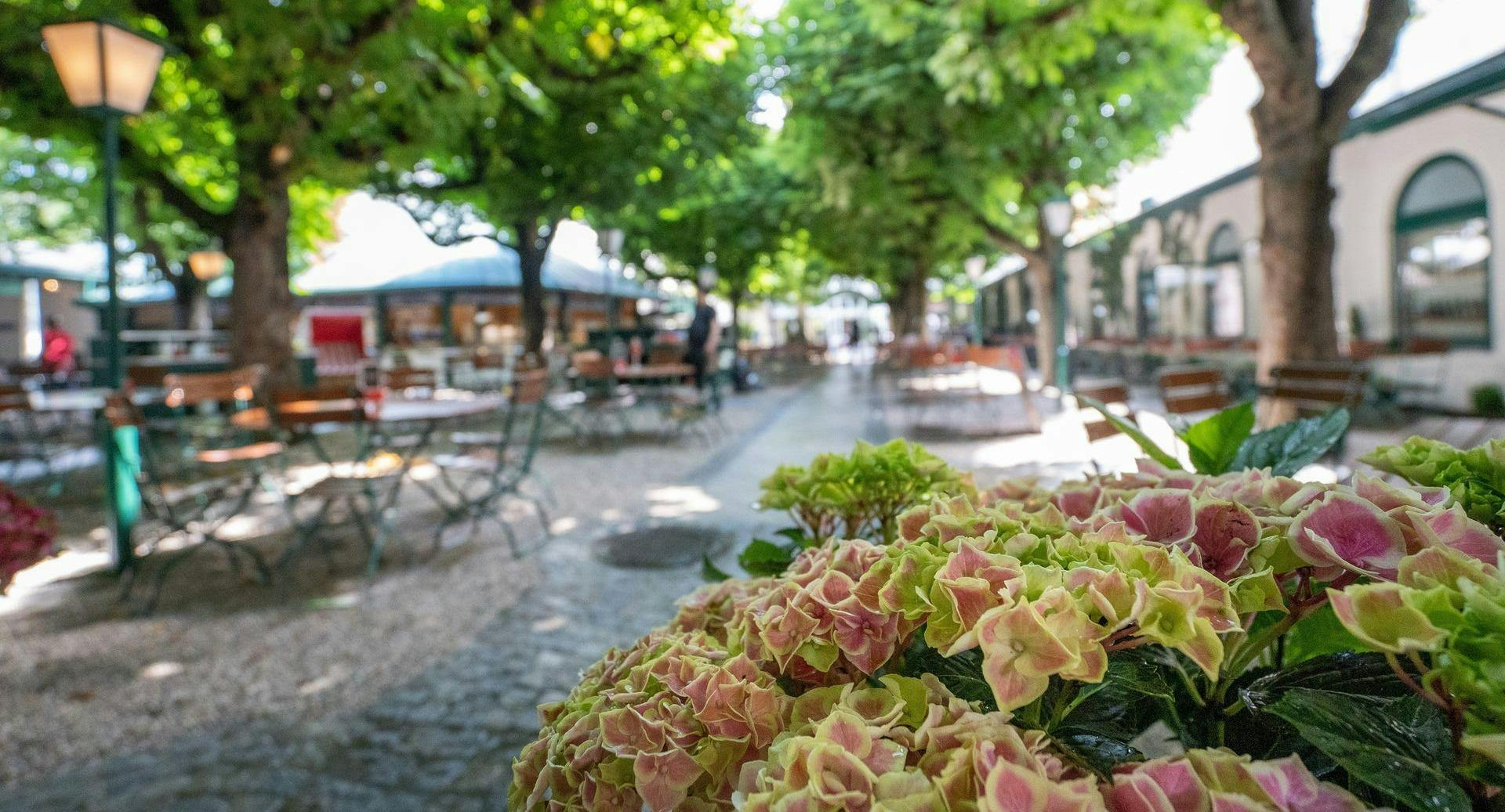 Restaurant Stiegl-Klosterhof in Innenstadt, Linz