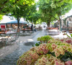 Restaurant Stiegl-Klosterhof in Innenstadt, Linz