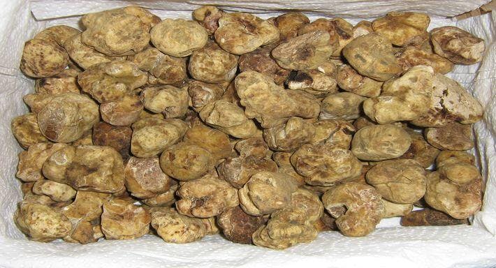 Photo of restaurant Nuova Roma in Sasso Marconi, Bologna - Photo 10