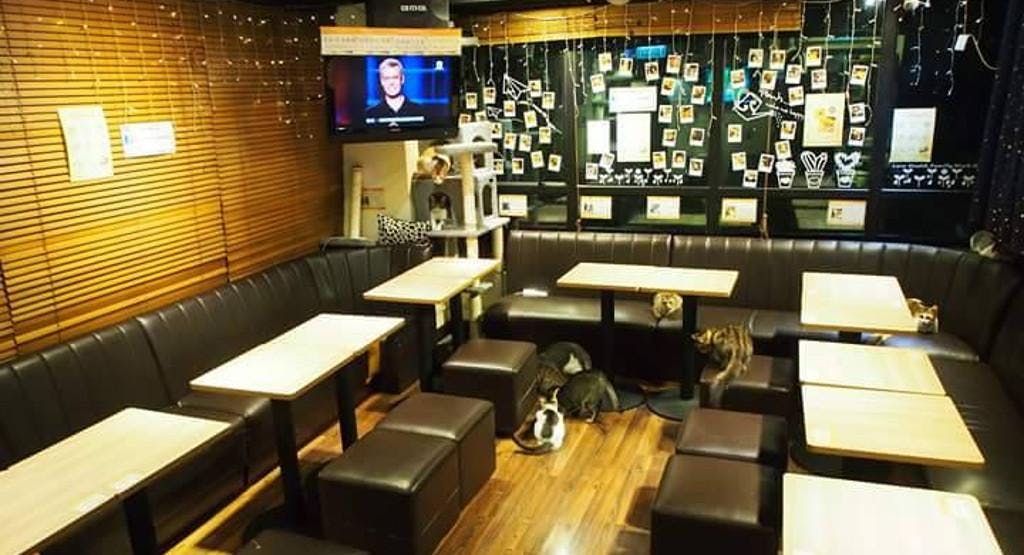 Photo of restaurant Meow Mi Home 貓咪貓咪HOME - Hanway Branch 恆威店 in Mong Kok, Hong Kong