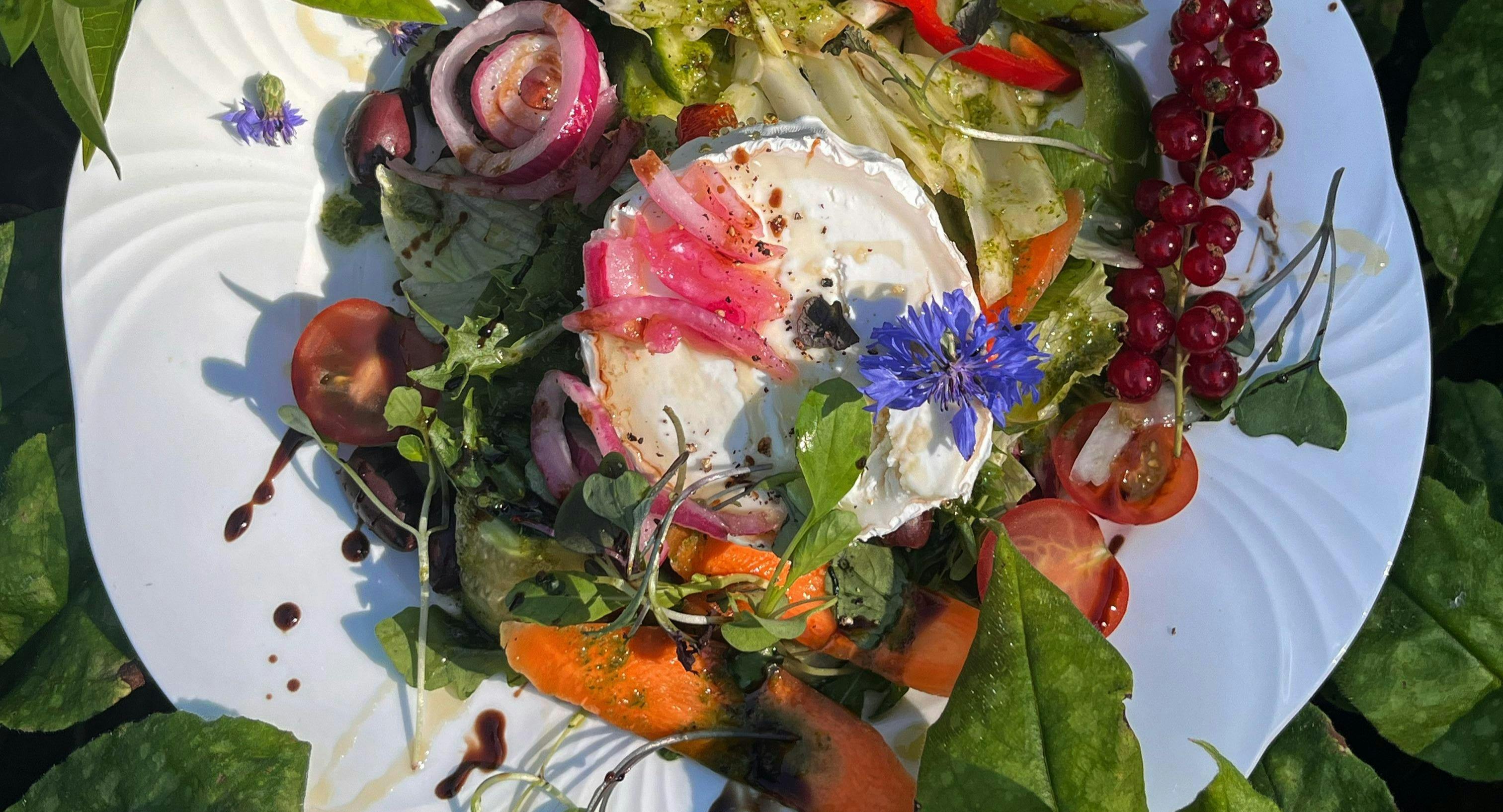 Image 1 of restaurant Café Viola