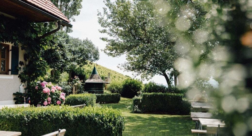 Photo of restaurant Buschenschank am Weingut Schauer in Greith, Kitzeck im Sausal - Photo 7