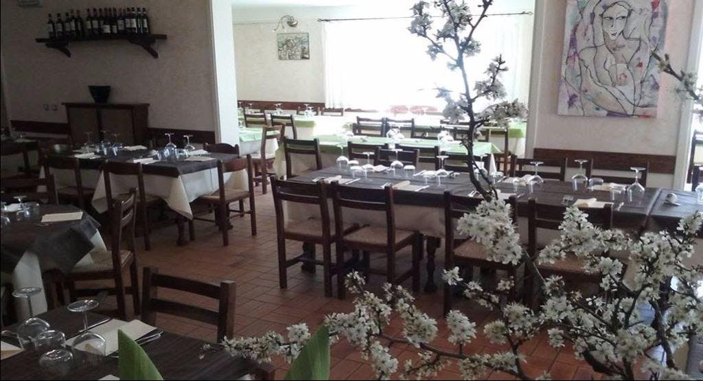 Photo of restaurant Il Leccio in Castellina Marittima, Pisa