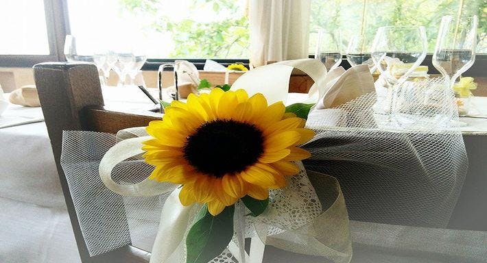 Photo of restaurant Trattoria Da Ezio in Teolo, Padua - Photo 3