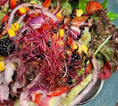 Restaurant Scotty's Bahrenfeld in Altona, Hamburg