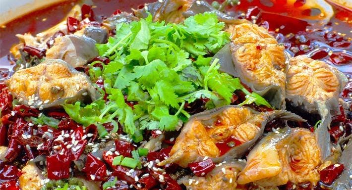 Wei chuan cookbooks pdf free