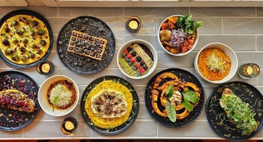 Bilder von Restaurant The Tiger | Organic Brunch & Lunch in Prenzlauer Berg, Berlin