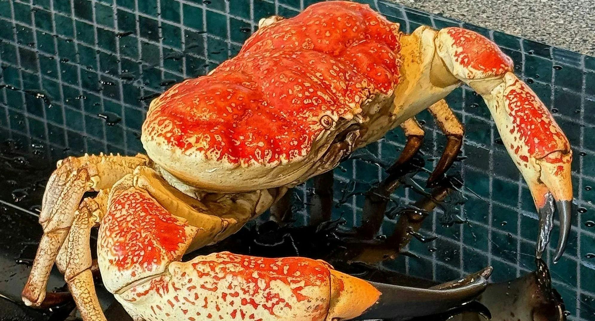 Photo of restaurant Olala Seafood by Muli in North Melbourne, Melbourne - Photo 4