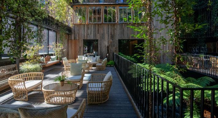 Restaurant Jurema Terrace at The Mandrake in Fitzrovia, London